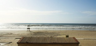 The beach