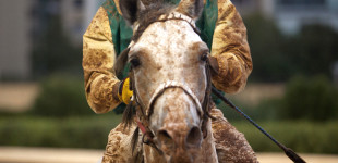 Hippodrome du Parc de Beyrouth